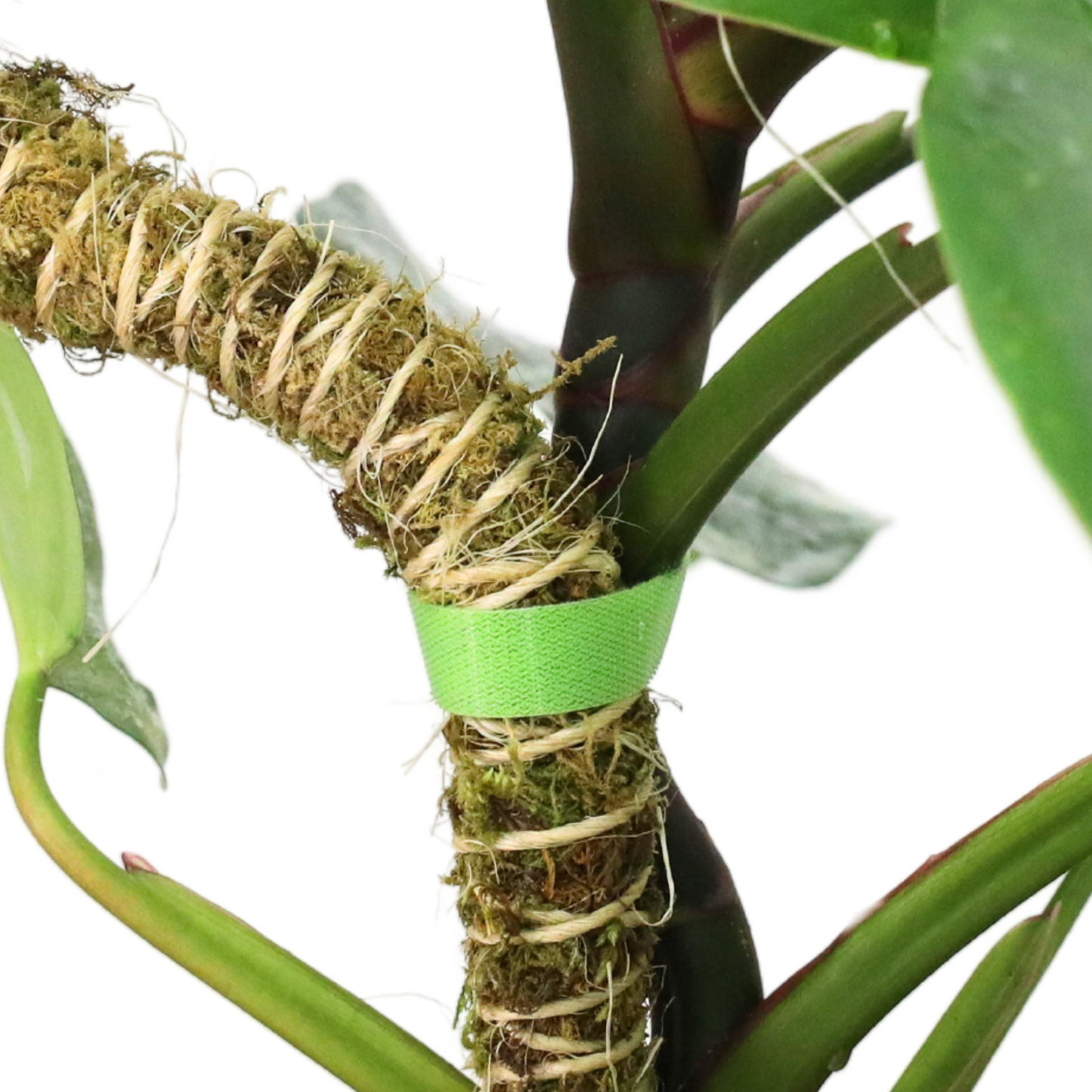 Reusable Plant Tape