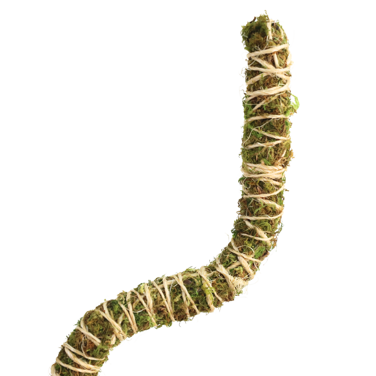 The Bendable Moss Poleโข ๐๐๐๐