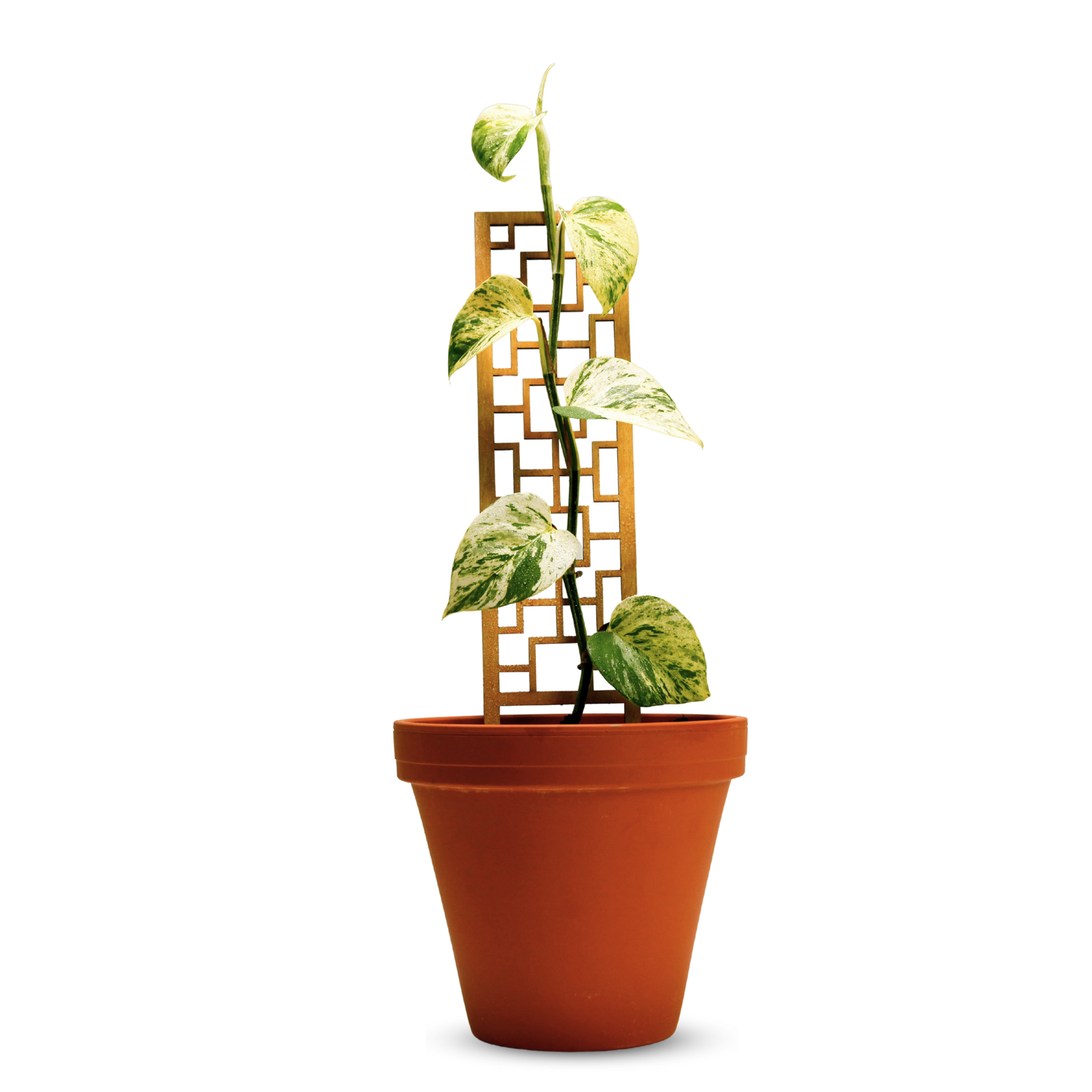 Tropical Squares Wooden Trellis